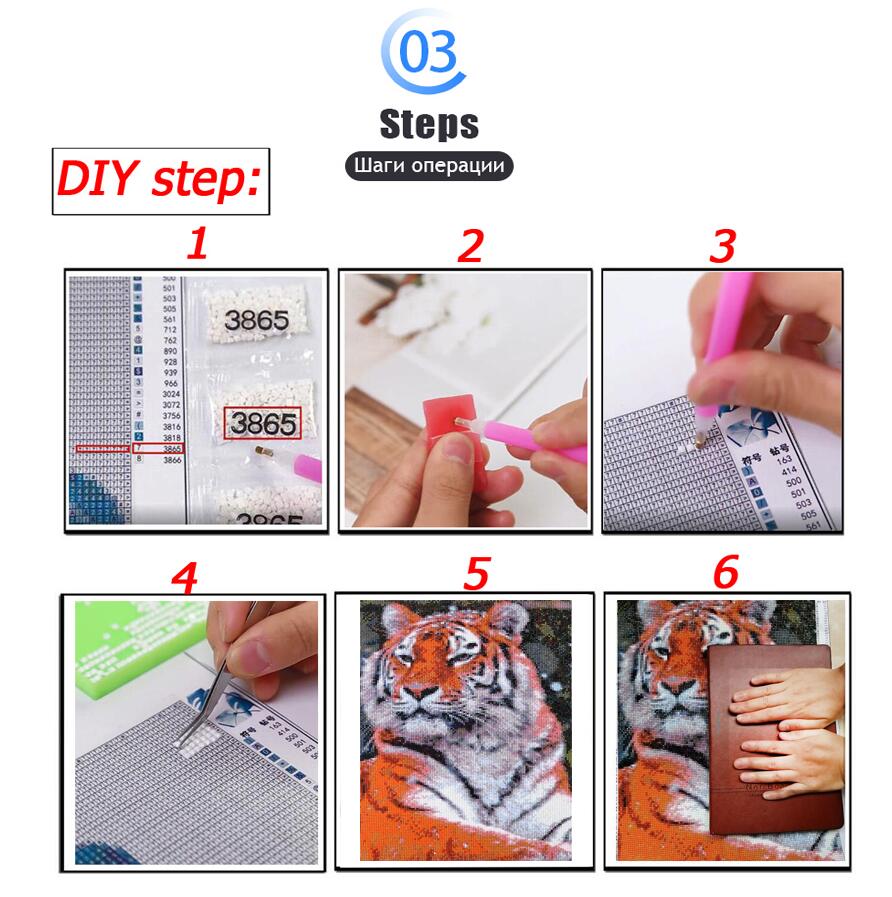 5D DIY Diamond Embroidery Pict - đánh giá và giá Embroidery Jesus
