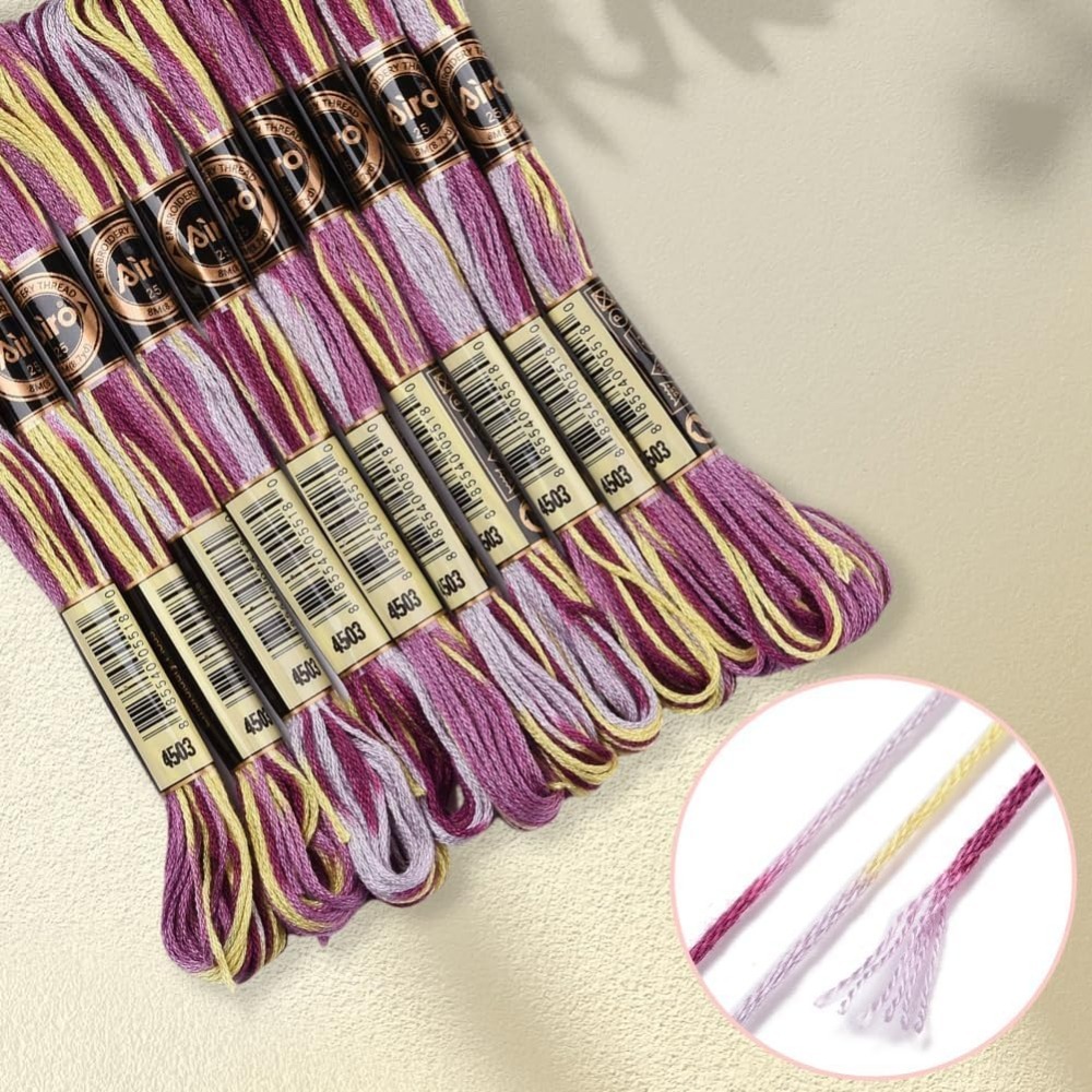 6 Strands Purple Variegated Em - đánh giá và giá Embroidery Thread